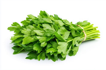 A bunch of fresh lovage leaves lies gracefully arranged, highlighting their aromatic qualities and vibrant color