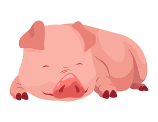 Pig set flat cartoon isolated on white background. Pink pig vector illustration