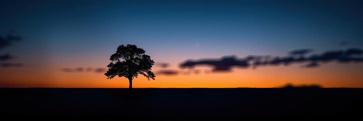 Solitary Tree Silhouette at Sunset Dramatic Landscape Photography