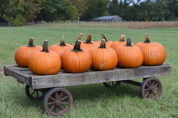 Pumpkin harvest showcases vibrant orange pumpkins neatly arranged on a rustic wooden cart, set against a picturesque farmyard backdrop in autumn