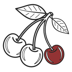 Cherry Icon on white background