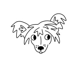 Vector isolated Chinese crested dog puff dog breed face portrait art design idea colorless black and white contour line easy drawing