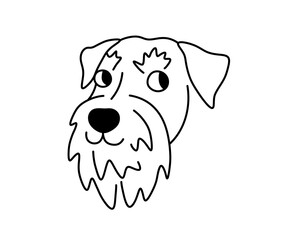 Vector isolated schnauzer dog breed head portrait colorless black and white contour line easy drawing