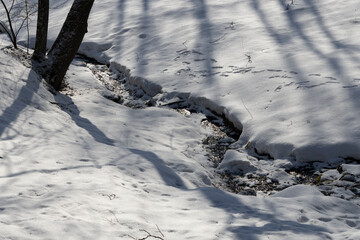 Spring streamlet flows between white snowdrifts and glitters in the bright sunlight