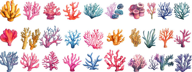 Watercolor set of sea corals png. various sea and ocean corals in watercolor style. Concept of sea and underwater flora. Marine theme, design element, decoration of water attractions, parks, beaches.