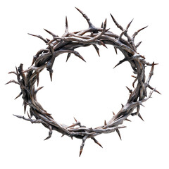 Fototapeta premium Crown of Thorns: A close-up shot of a crown of thorns, a symbol of suffering, sacrifice, and religious devotion.