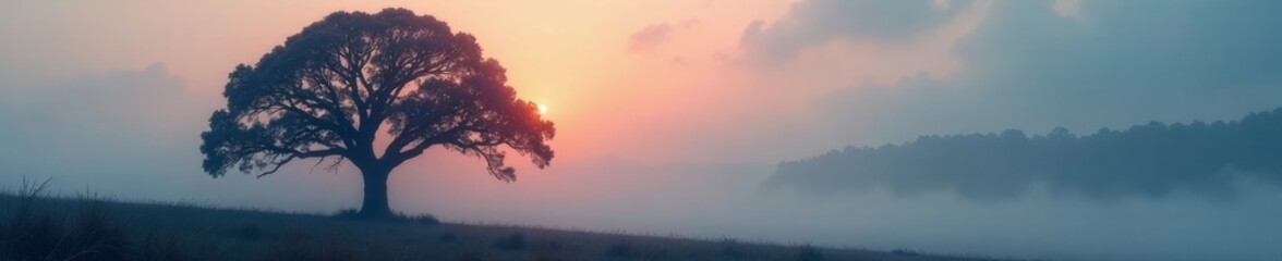 Fototapeta premium Enigmatic tree silhouette, thick fog obscures details, outdoors, design
