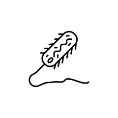 Prokaryotic line icon