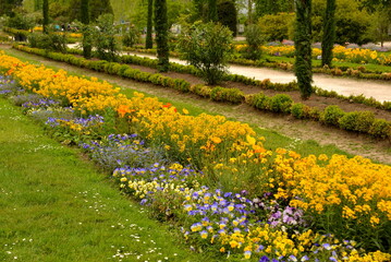 Flower bed with color flowers in park. Springtime color plants.
