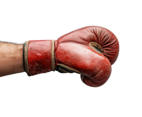 Boxing gloves on display sports equipment isolated on transparent background