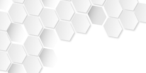 Creating Harmony in Technology: The Symmetry of 3D Hexagonal Grids, White and Gray Digital Lines, and Their Influence on Modern Graphic Design
