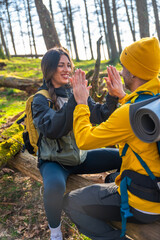 Hikers giving high five while sitting on fallen tree trunk in forest