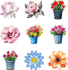 Colorful Wildflower Vector Collection,Botanical Design,Beautiful watercolor vector floral pattern design,wildflowers vector set,bundle,Set watercolor wild