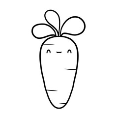 carrot vector illustration