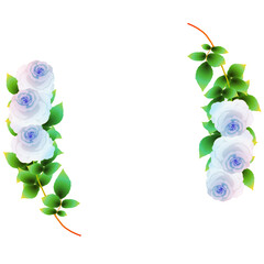 バラのフレーム