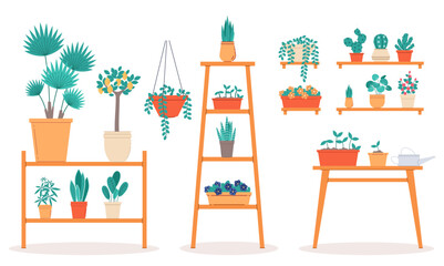 Fototapeta premium Houseplants stand shelves and tables. Different types houseplants. Indoor trees and palms. Monstera and cactus. Succulents and tropical flora. Cartoon flat style isolated vector concept