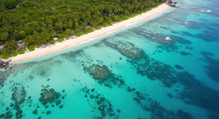 Beach tropical island in the Caribbean Sea with clear turquoise water and beautiful beach views