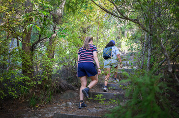 Two women hiking in the forest in summer. Kauri Point Centennial Loop track. Auckland.