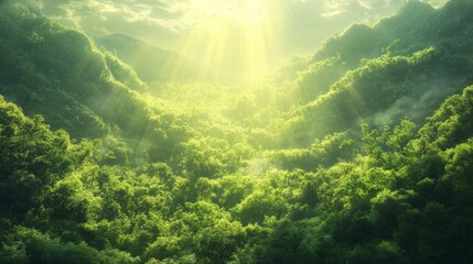 Fototapeta premium Aerial view of lush green forest with sunlight breaking through, nature and tranquility, ultra-detailed, 8k