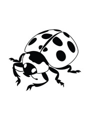Obraz premium ladybird on a white background