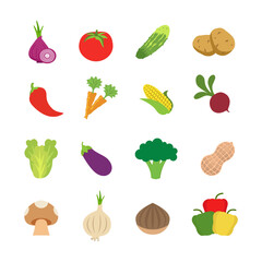 Set of different fresh vegetables isolated on white background