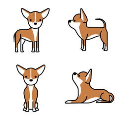 Chihuahua short-haired dog