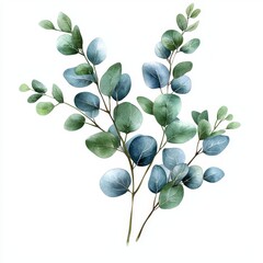 Obraz premium A watercolor illustration of green eucalyptus leaves arranged gracefully on a white background.