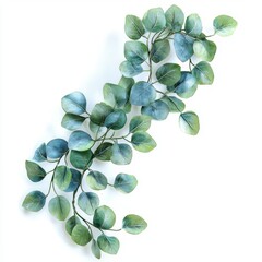 A delicate green vine with rounded leaves, showcasing a blend of blue and green tones, perfect for decorative arrangements or nature-themed designs.