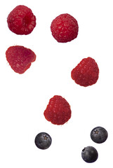 raspberry and blueberry photo real fruit