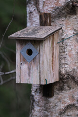 Bird house