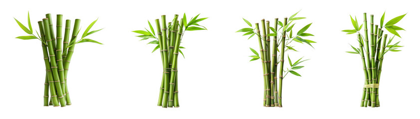 Obraz premium Fresh bamboo stalks arranged in bundles