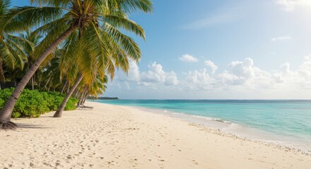 Obraz premium Virginia beach beautiful tropical beach with palm trees, coconut palms, and clear blue water under a sunny sky