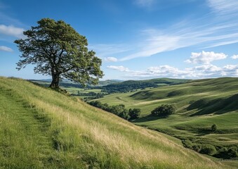 Naklejka premium rolling green hills under a blue sky, with a single tree as a focus point standing tall