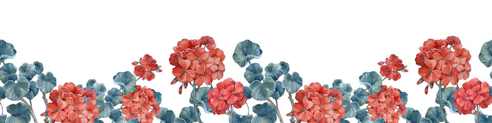 Watercolor seamless border with hand drawn red geranium flowers and leaves isolated on white background. Template for label design, fabric and textile design