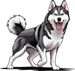 siberian husky dog vector illustration white background © Jagone Mas Zan