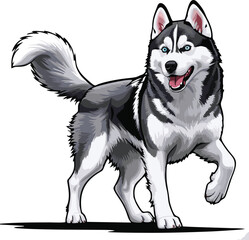 siberian husky dog vector illustration white background © Jagone Mas Zan