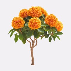 a tree with orange flowers, Mexican cempasuchil flower with tree, Mexican yellow flower, yellow flower