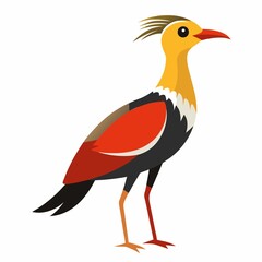 vector illustration of a red and yellow bird on white background