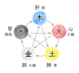 五行と五臓五腑の関係性を表す水彩イラスト