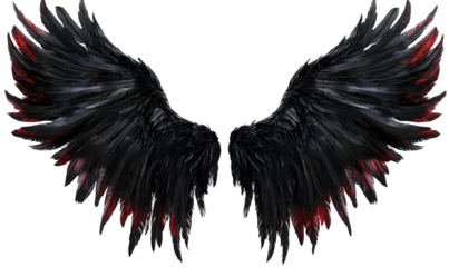 spread black dark demon feather angel wings on transparent background