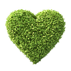 Green Heart Shaped Foliage Eco Friendly Botanical Background