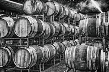 Cantina con botti di vino.