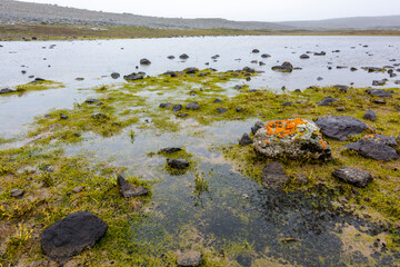 Scenic view of wetlands on the Sanetti Plateau in the Bale Mountains National Park. Ethiopia.