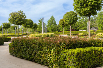 French garden is located in Krasnodar park. Flowering topiary bushes of photinia and spherical maples of Acer grow in French garden in landscaped city park of Galitsky. Spring theme. 2024.