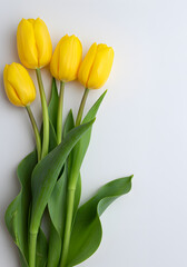 [Generative ai]  봄을 알리는 네 송이 노란 튤립