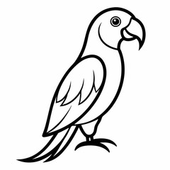 vector illustration of a bird