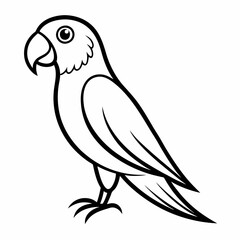 vector illustration of a bird