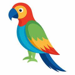 colorful parrot on white background
