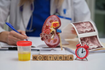 A visual guide to nocturia and kidney health, featuring essential medical tools and informative...