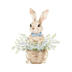 Vector watercolour easter bunny isolated on white background. Cute bunny with spring flowers. 